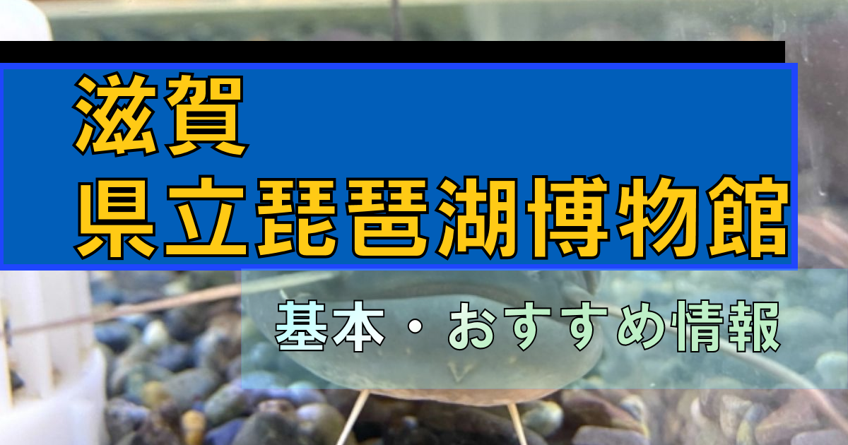 滋賀「琵琶湖博物館」は体験で学べる!?|利用情報・見どころ紹介