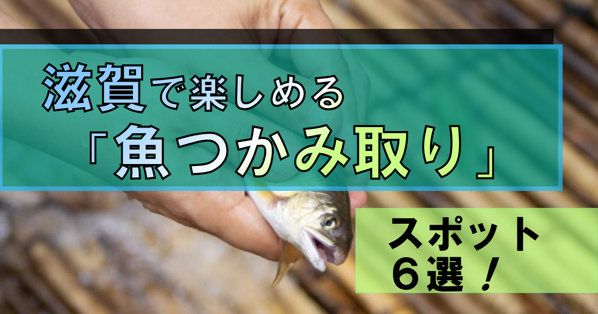 滋賀で「魚つかみ取り」ができるスポット6選!|つかみ取りの魅力も紹介