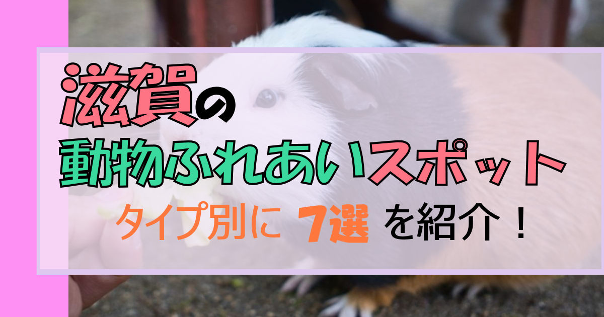 滋賀の「動物とのふれあい」スポット!【7選】癒しの時間を楽しめる♪