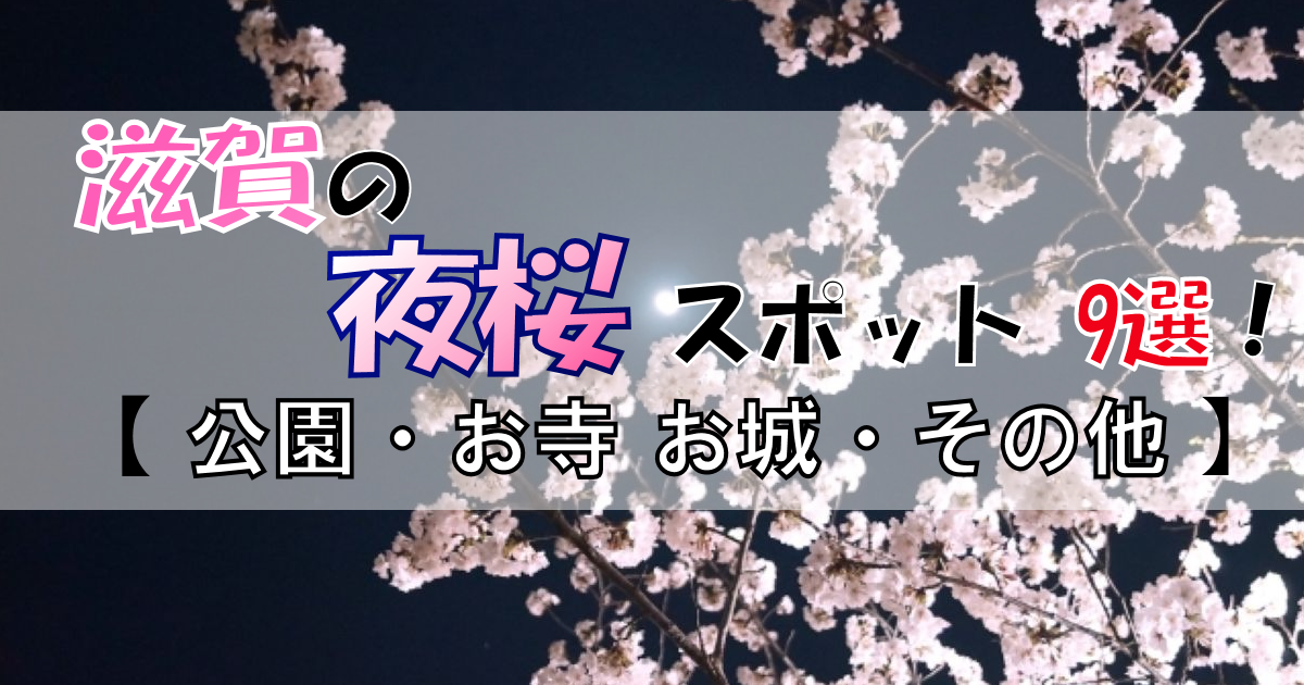 滋賀で【夜桜】を!|名スポット9選|春の夜をロマンチックに美しく